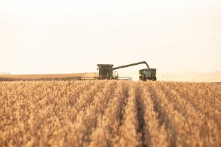 Combine Harvester Unloading into Grain Cart farming without the bank