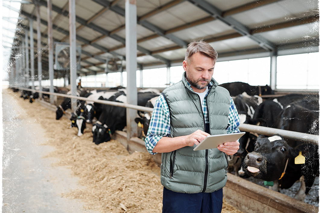 dairy-farm-tablet
