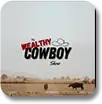 Logo Wealthy Cowboy Show