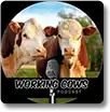 Logo Working Cows Podcast