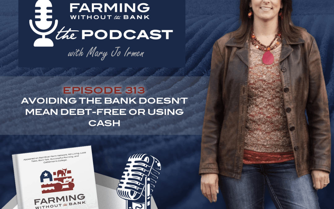 Ep. 313 – Avoiding the Bank Doesn’t Mean Debt-Free or Using Cash