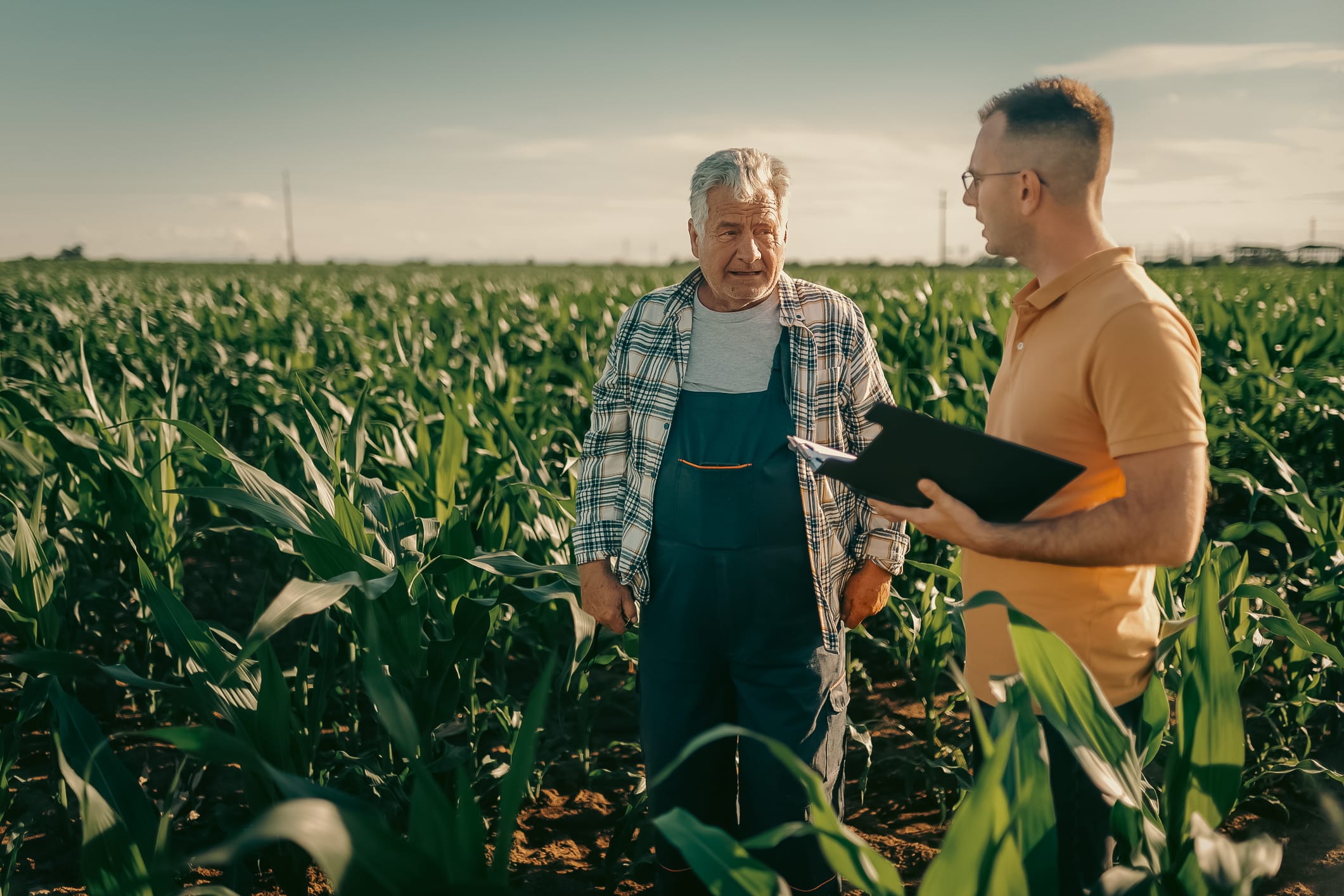 How to Save the Family Farm: A Farm Succession Planning Guide