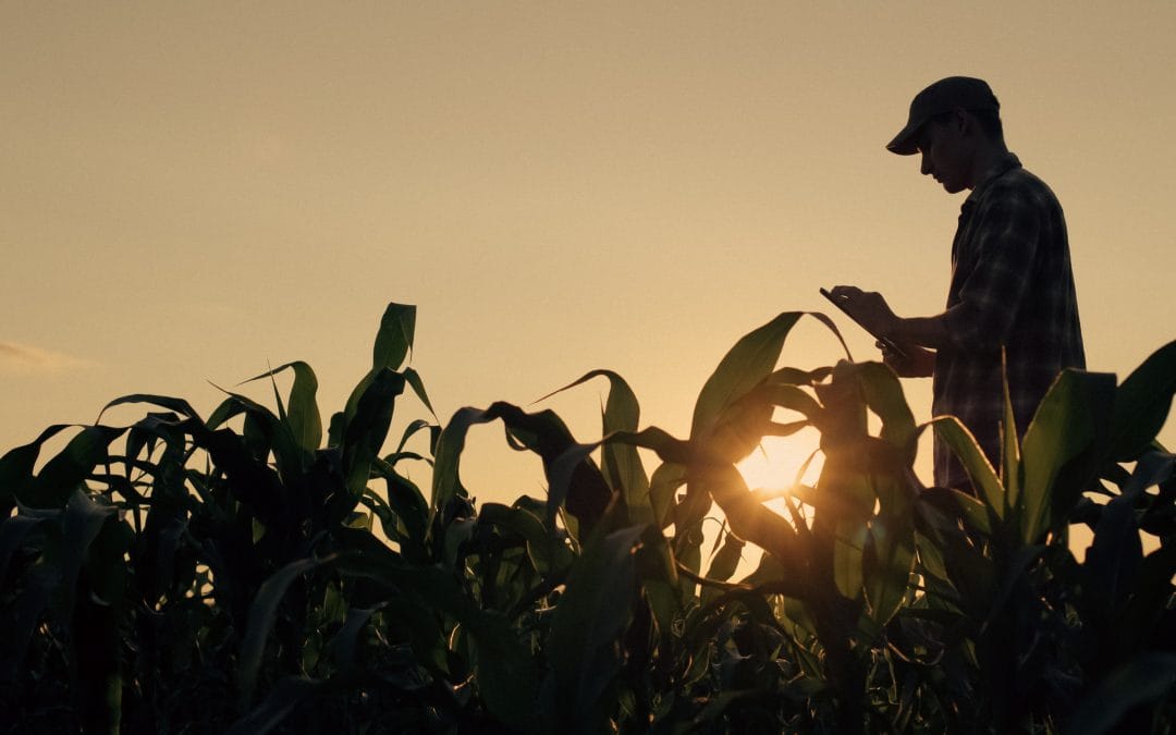 Universal Life vs. Whole Life Insurance for Farmers: What Farm Families Need to Know