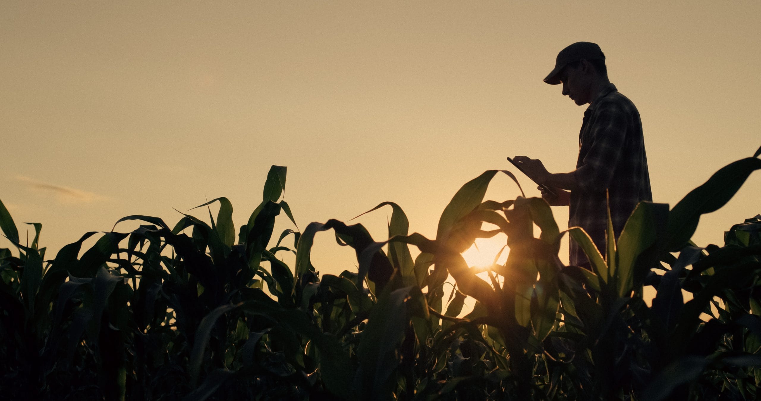 Universal Life vs. Whole Life Insurance for Farmers: What Farm Families Need to Know
