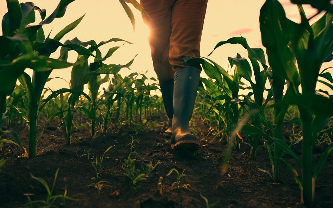 Long-Term Care Planning for Farmers: How to Protect the Family Farm Before a Crisis